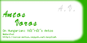 antos voros business card